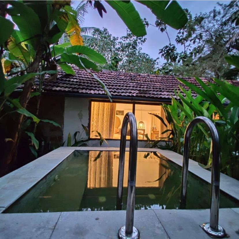 Sunsets And Palm Trees Bed & Breakfast Alappuzha Eksteriør bilde