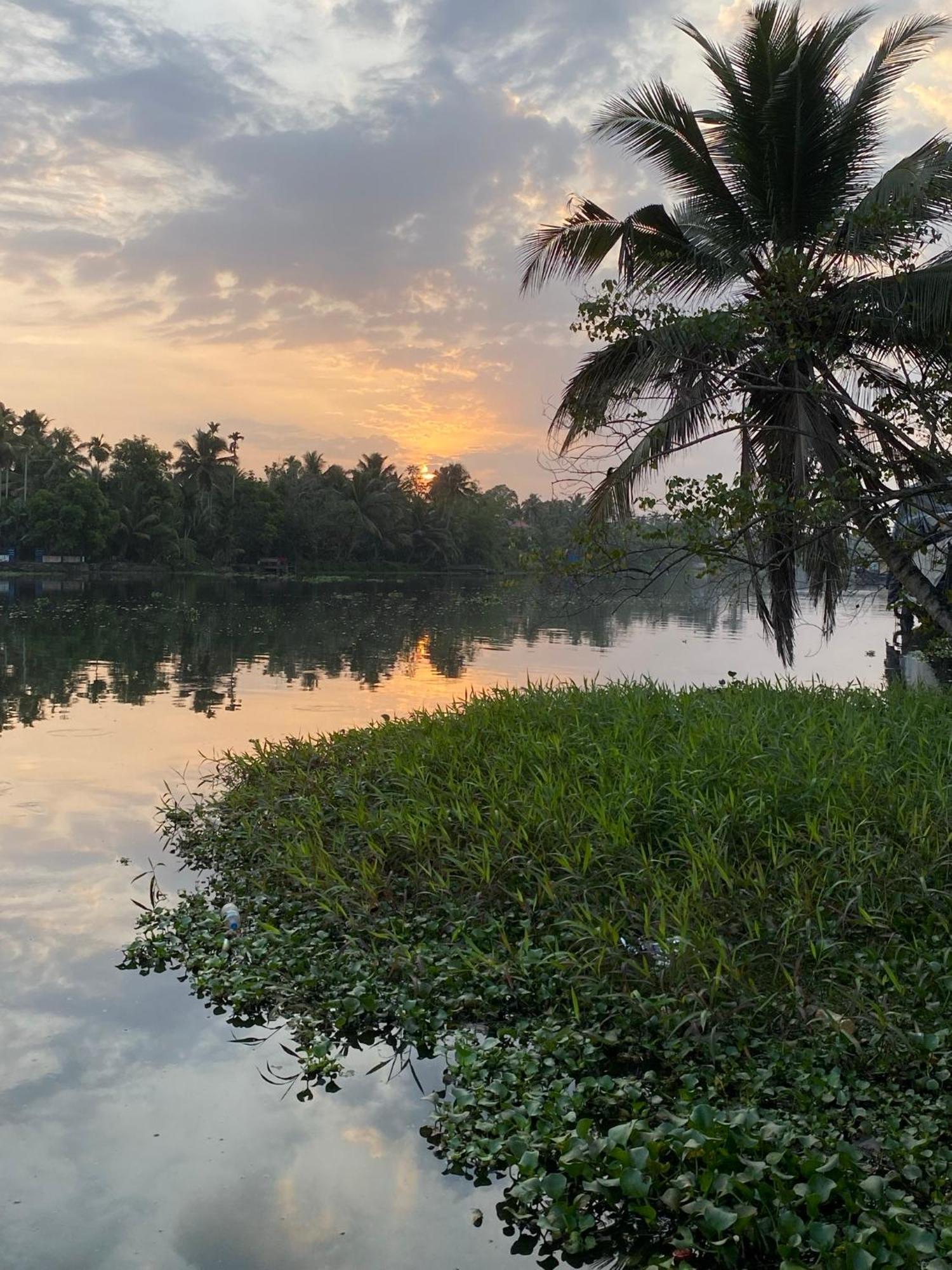 Sunsets And Palm Trees Bed & Breakfast Alappuzha Eksteriør bilde