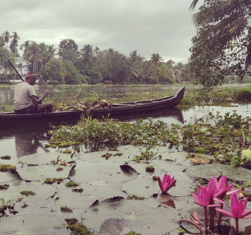 Sunsets And Palm Trees Bed & Breakfast Alappuzha Eksteriør bilde